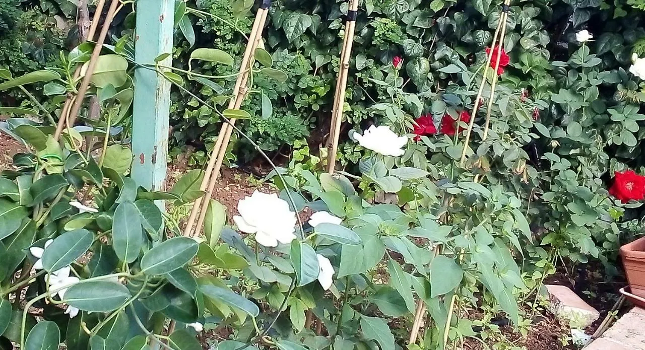 Il Giardino Di Hyccara Villa Carini Holiday home